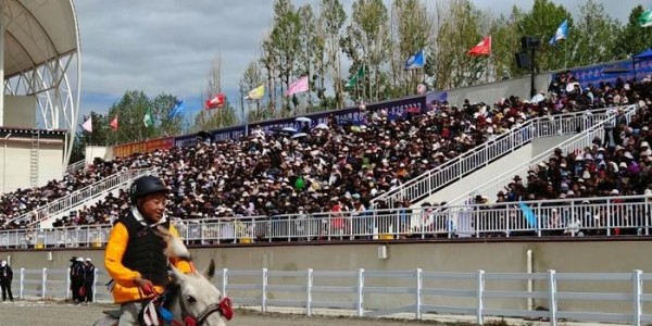 江孜达玛节赛马激情上演 少年骑手成亮点